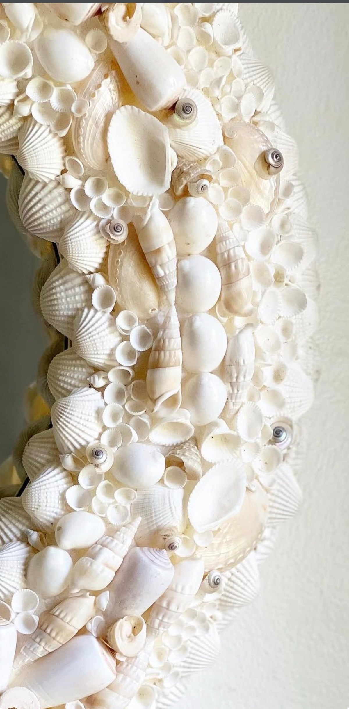 Round Shell Mirror