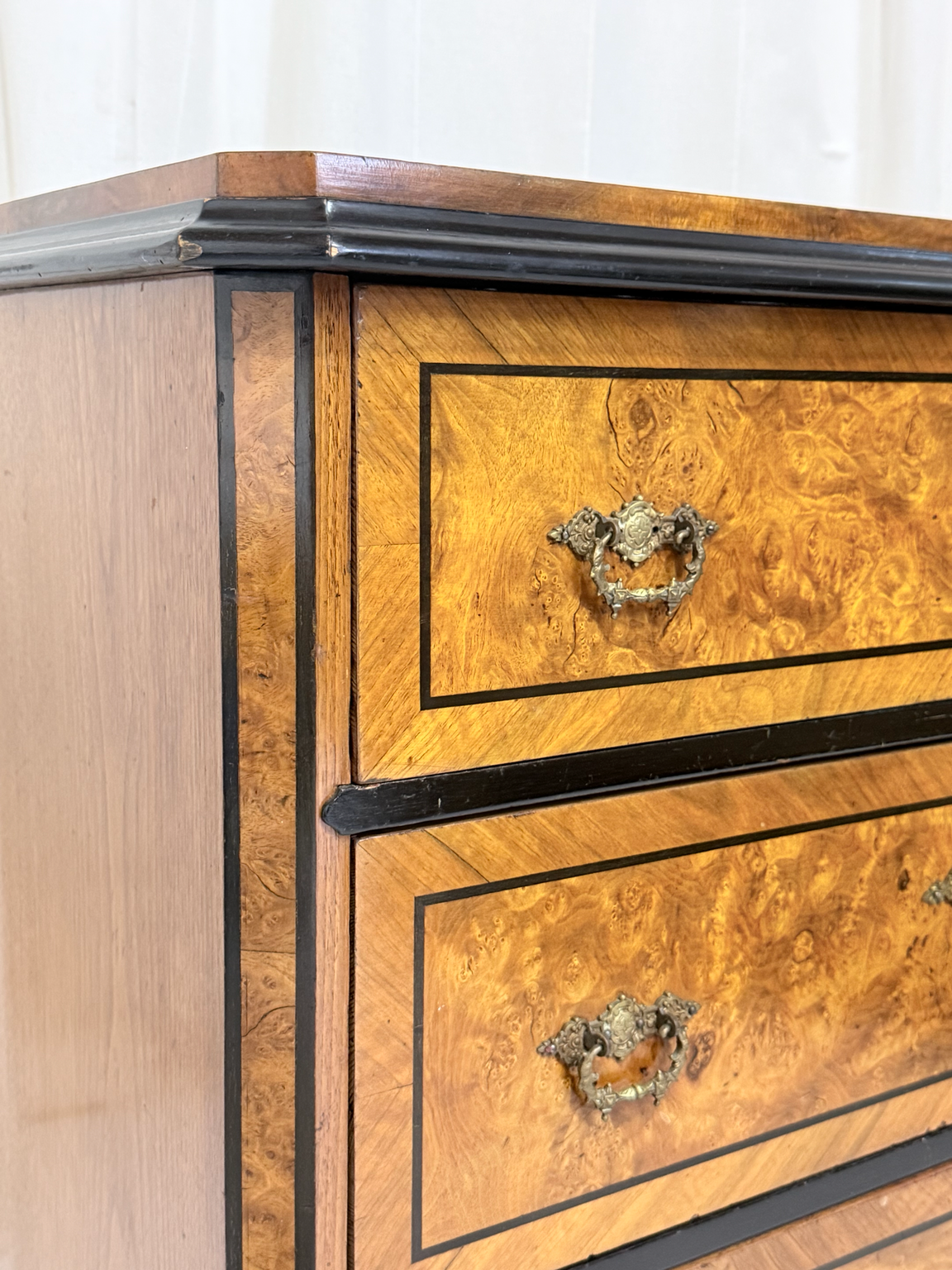 Swedish Biedermeier-Style Burl Birch Chest of Drawers, Ebonized Accents, 19th Century
